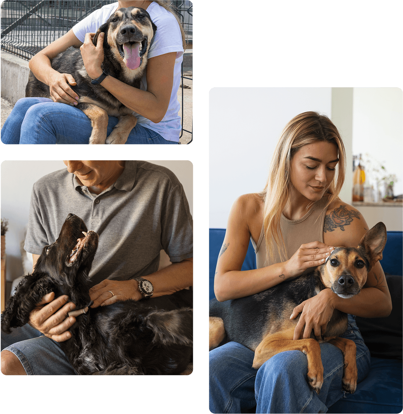 Cuidadores de mascotas en Buenos Aires